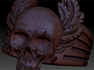 mens ring skull with feathers 3D Baskı Modeli