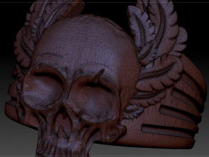 mens ring skull with feathers 3D Print Model
