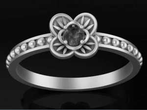 ring with gem 3D Print Model