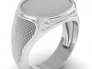 male ring 3D 프린트 모델