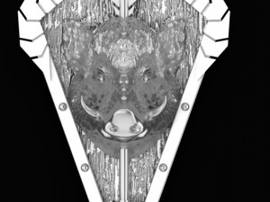 wild boar head trophy pendant 3D Print Model