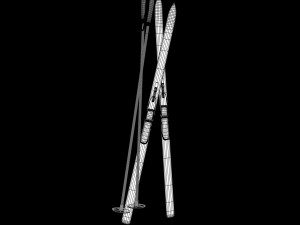 skiing Modello 3D