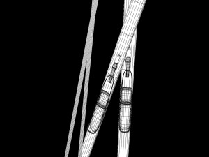 skiing Modello 3D