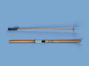 skiing Modello 3D