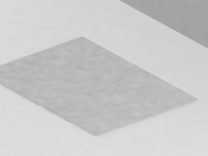 carpet 3D Model