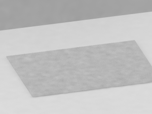 carpet 3D Model