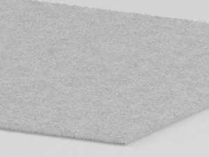 carpet 3D Model
