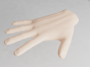 hand 3D 모델