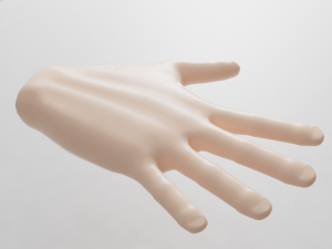 hand 3Dモデル
