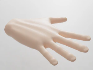 Hand 3D Modell