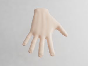 hand 3Dモデル