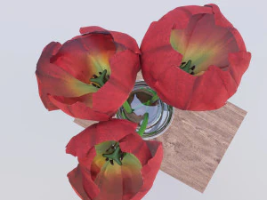 vase with tulips 3D Model
