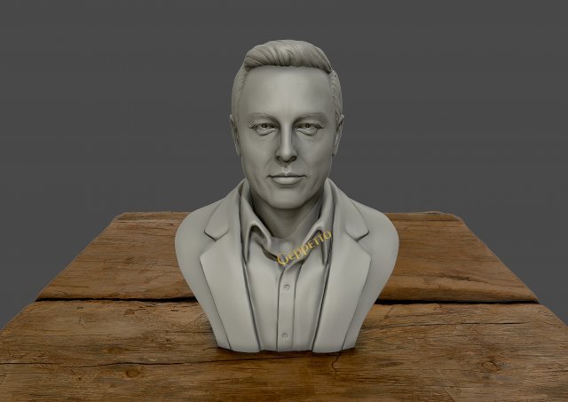 elon musk 3D Принт Модель .c4d .max .obj .3ds .fbx .stl .blend 