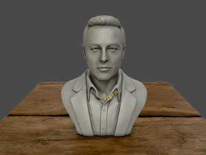 muschio di elon Modello di stampa 3D