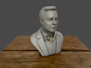 elon musk 3D Принт Модель