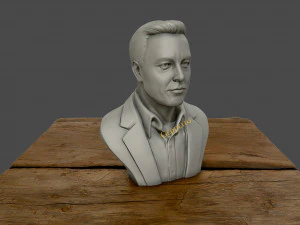 elon musk 3D Print Model