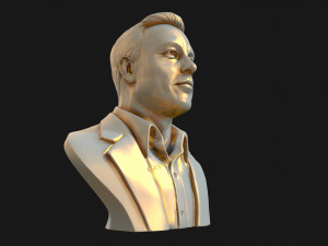 elon musk 3D Принт Модель