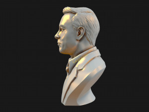 elon musk 3D Принт Модель