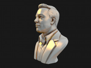 elon musk 3D Принт Модель