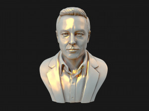 elon musk 3D Принт Модель