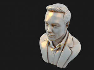 elon musk 3D Принт Модель