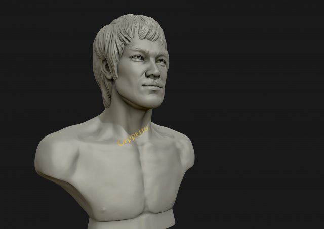 bruce lee 3d printable model 3D प्रिंट मॉडल .c4d .max .obj .3ds .fbx .stl .blend 