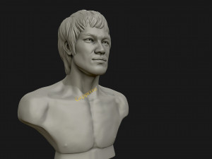 bruce lee 3d printable model 3D प्रिंट मॉडल