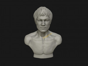 bruce lee 3d printable model 3D प्रिंट मॉडल