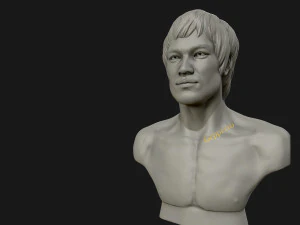 bruce lee 3d printable model 3D Print Model