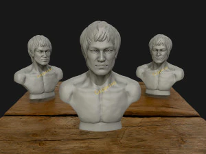 bruce lee 3d printable model 3D Print Model