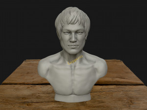 bruce lee 3d printable model 3D प्रिंट मॉडल