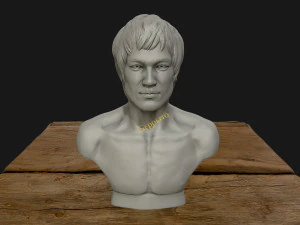 bruce lee 3d printable model 3D Print Model