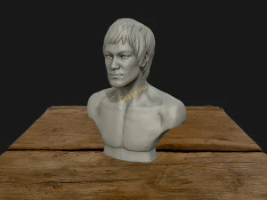 bruce lee 3d printable model 3D Print Model