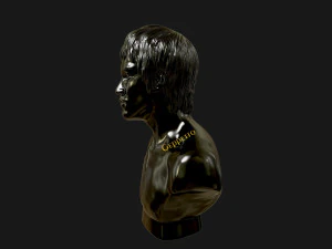 bruce lee 3d printable model 3D Print Model