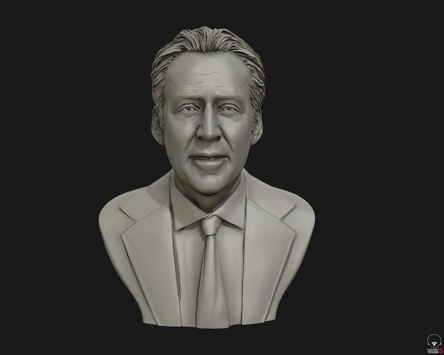 nicolas cage 3d printable portrait model 3d print model Modelo de impresión 3D .c4d .max .obj .3ds .fbx .stl .blend 