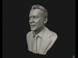 nicolas cage 3d printable portrait model 3d print model Modelo de impresión 3D