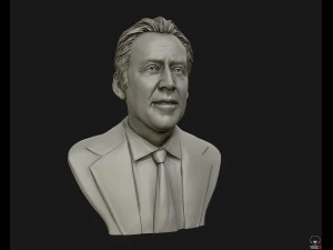 nicolas cage 3d printable portrait model 3d print model 3D Print Model