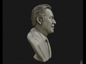 nicolas cage 3d printable portrait model 3d print model Modelo de impresión 3D