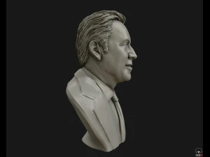 nicolas cage 3d printable portrait model 3d print model 3D Print Model