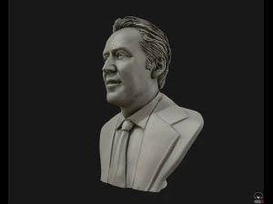 nicolas cage 3d printable portrait model 3d print model 3D Print Model