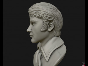 elvis presley sculpture ready to print 3d print model 3D 프린트 모델