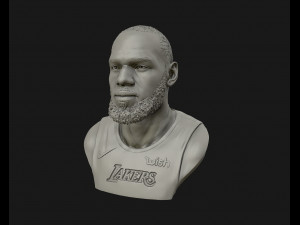 lebron james in lakers jersey ready to 3d print 3d print model 3D 打印模型