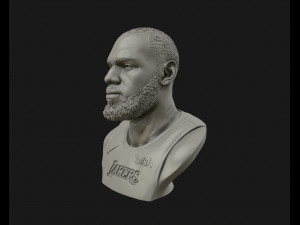 lebron james in lakers jersey ready to 3d print 3d print model 3D 打印模型