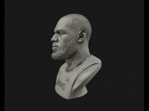 lebron james in lakers jersey ready to 3d print 3d print model 3D 打印模型