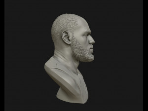 lebron james in lakers jersey ready to 3d print 3d print model 3D 打印模型