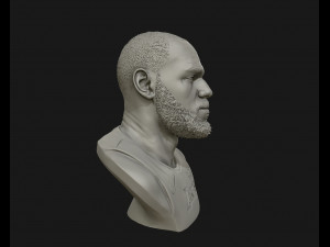 lebron james in lakers jersey ready to 3d print 3d print model 3D 打印模型