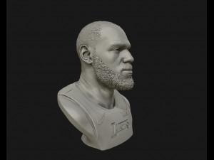 lebron james in lakers jersey ready to 3d print 3d print model 3D 打印模型