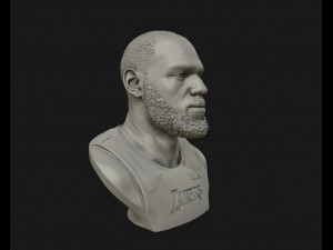 lebron james in lakers jersey ready to 3d print 3d print model 3D 打印模型