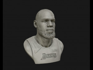 lebron james in lakers jersey ready to 3d print 3d print model 3D 打印模型