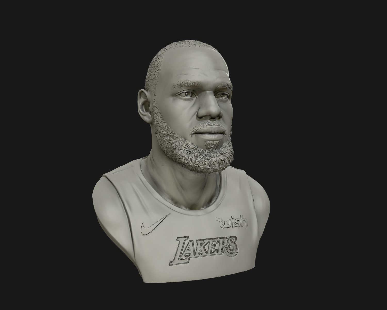 STL file JERSEY -- lakers -- LEBRON JAMES・Template to download and 3D  print・Cults